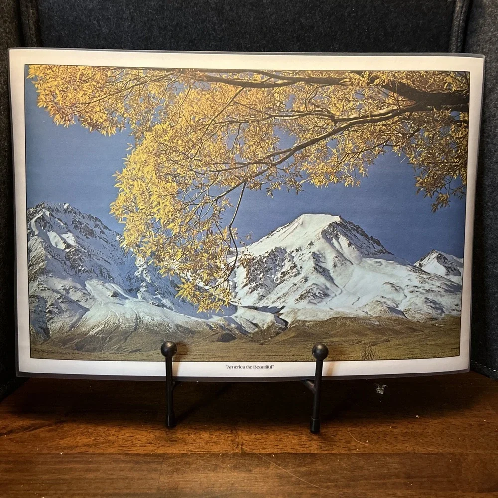 AMERICA THE BEAUTIFUL Bright Of America Reversible 6 Placemats Vtg Appx‎ 18x12